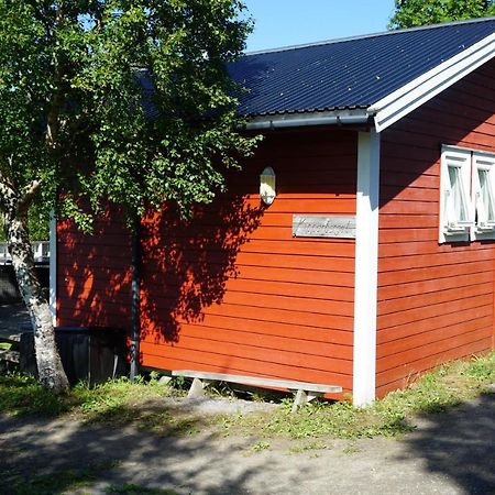 Camp Saltstraumen-Elvegard Bodø Exterior foto