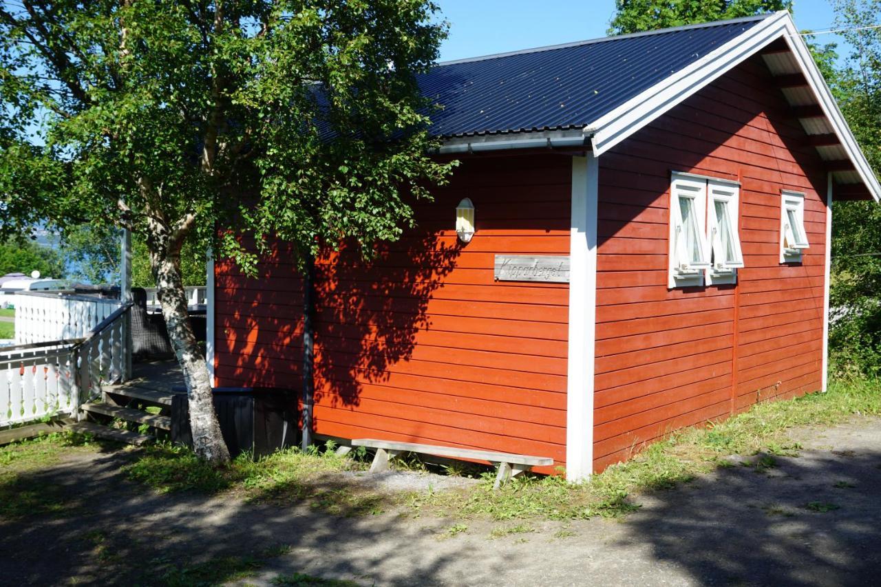 Camp Saltstraumen-Elvegard Bodø Exterior foto