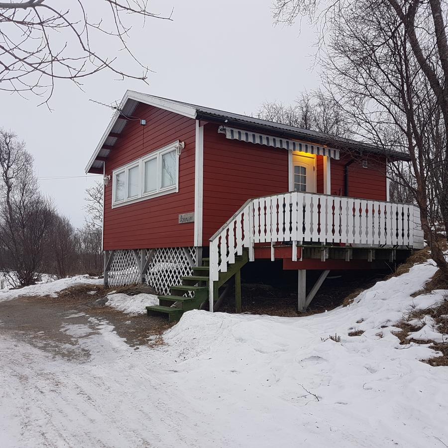 Camp Saltstraumen-Elvegard Bodø Exterior foto