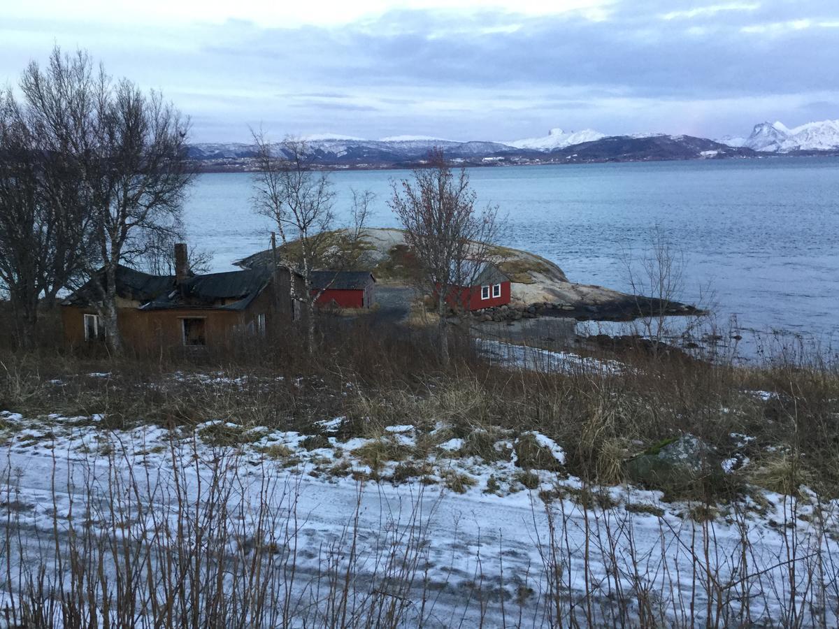 Camp Saltstraumen-Elvegard Bodø Exterior foto