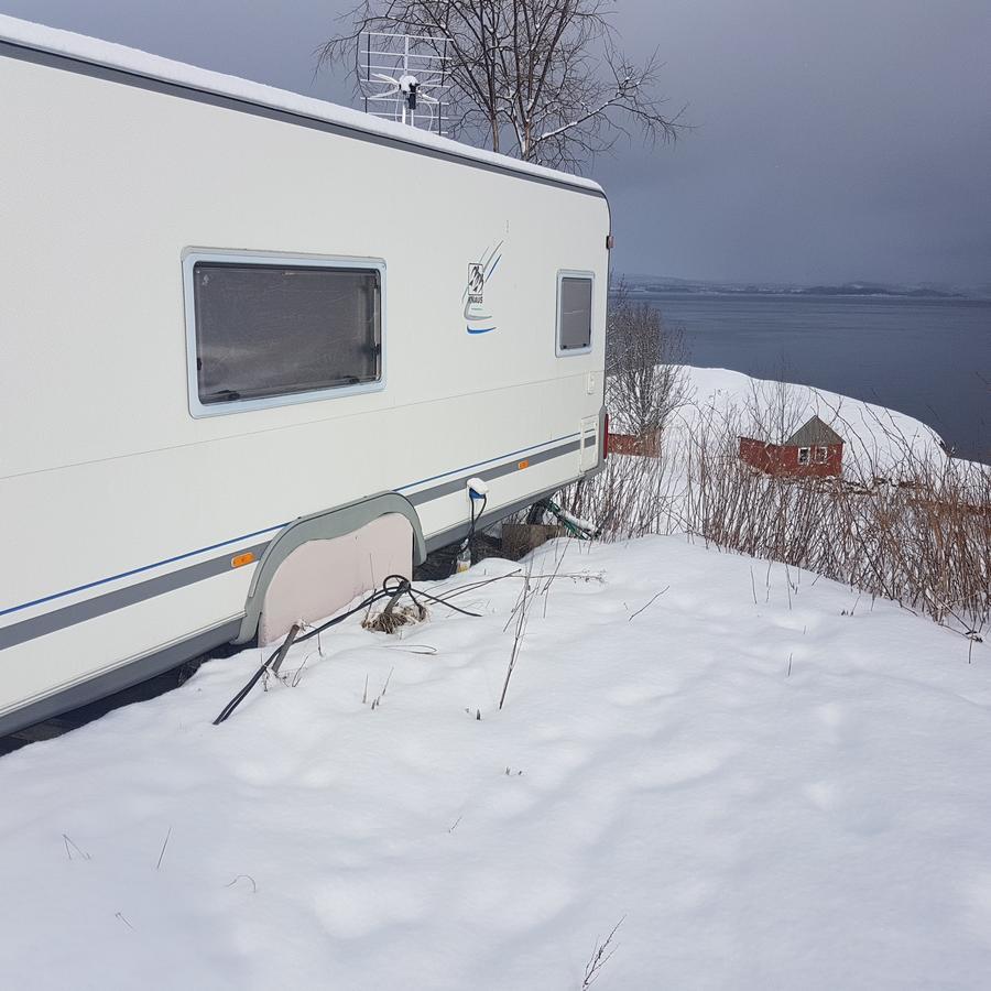 Camp Saltstraumen-Elvegard Bodø Exterior foto