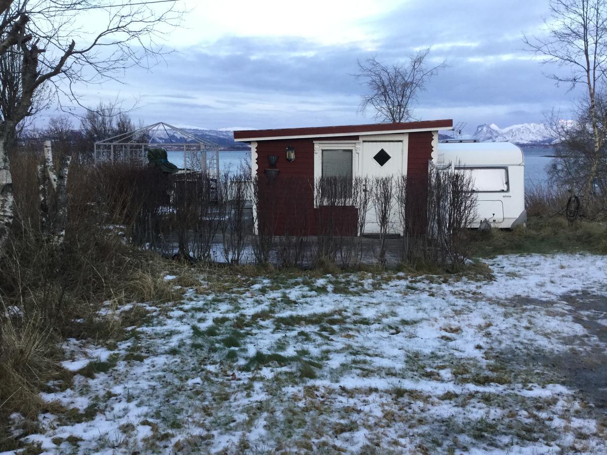 Camp Saltstraumen-Elvegard Bodø Exterior foto