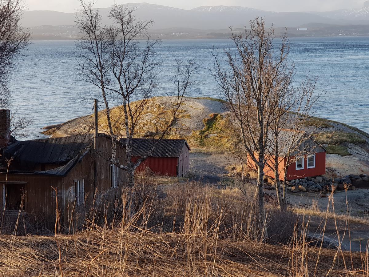 Camp Saltstraumen-Elvegard Bodø Exterior foto