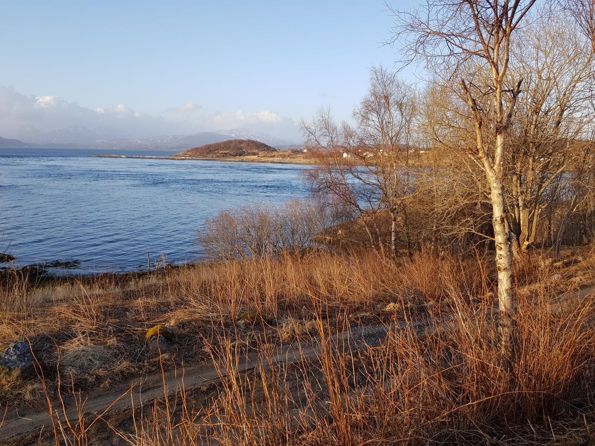 Camp Saltstraumen-Elvegard Bodø Exterior foto