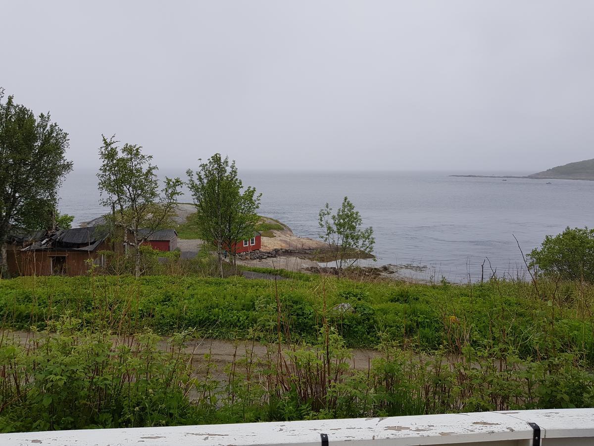 Camp Saltstraumen-Elvegard Bodø Exterior foto